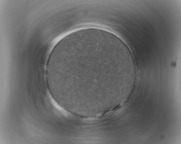 X0000112871535200909111520