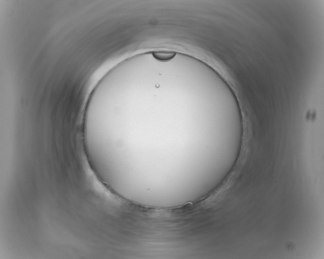 X0000112871536200909111520