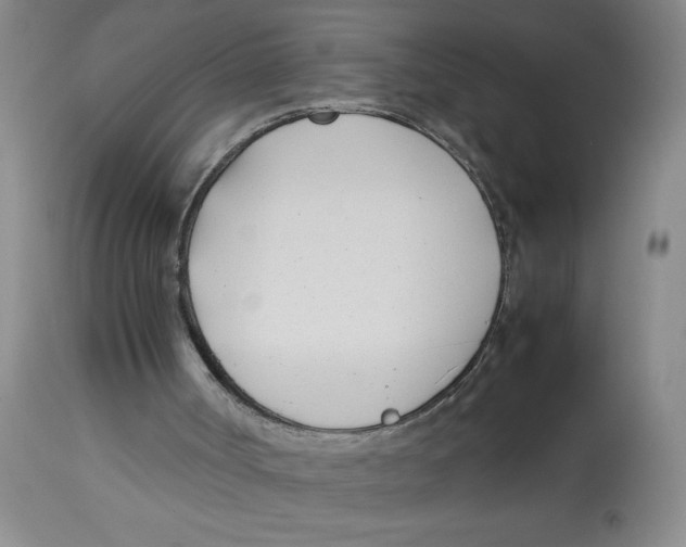 X0000112870002200909181836