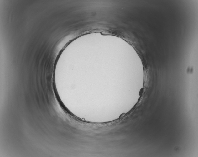 X0000112870003200909181836