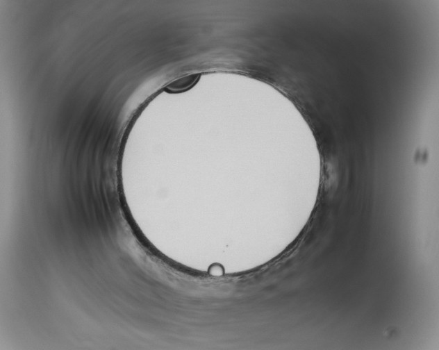 X0000112870004200909181836