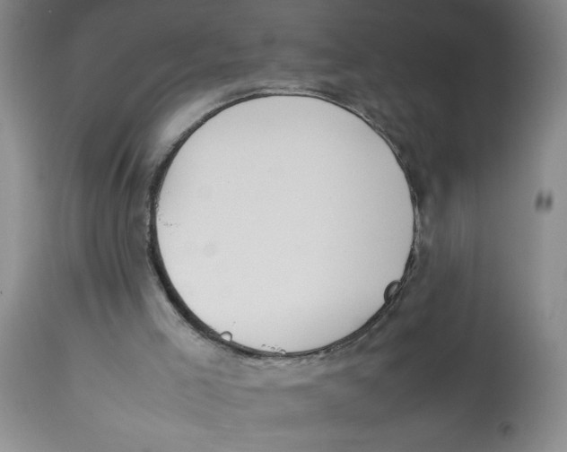 X0000112870005200909181836