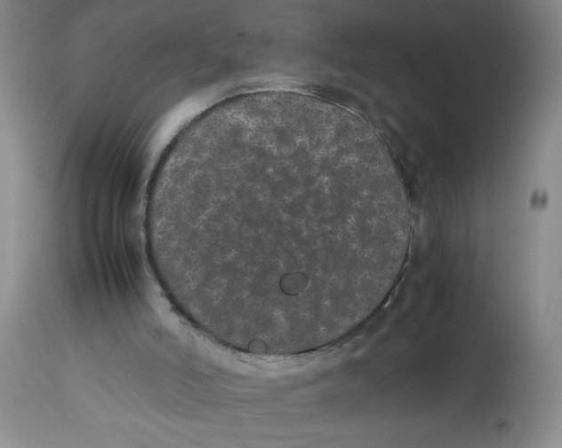 X0000112870006200909181836