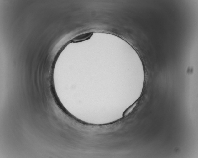 X0000112870007200909181836