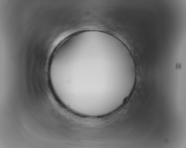 X0000112870008200909181836