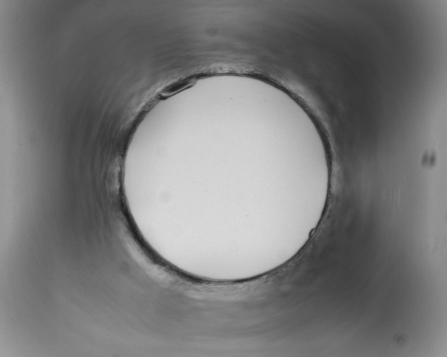 X0000112870009200909181836