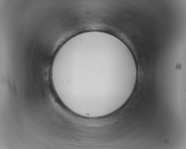 X0000112870010200909181836