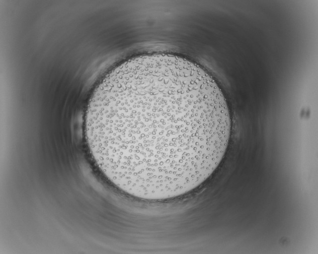 X0000112870014200909181835