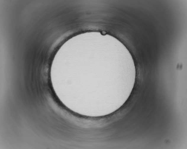 X0000112870016200909181835