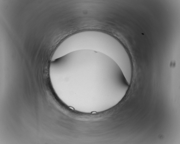 X0000112870017200909181835