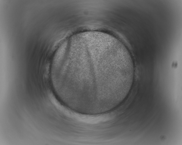 X0000112870018200909181835