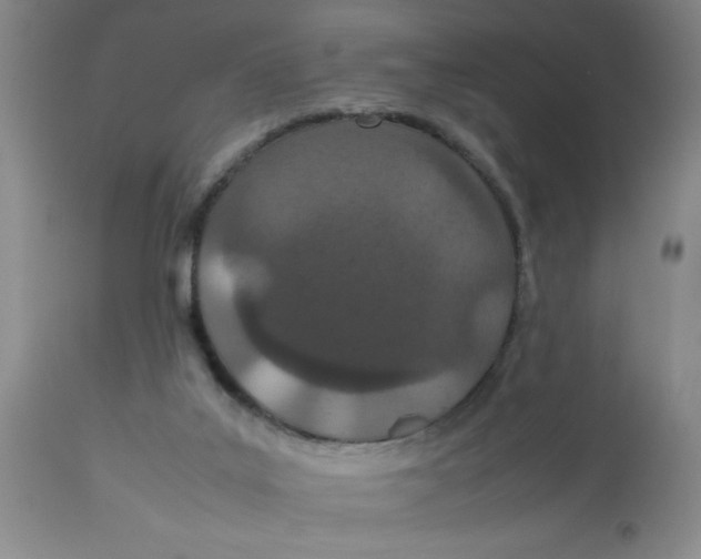 X0000112870019200909181835