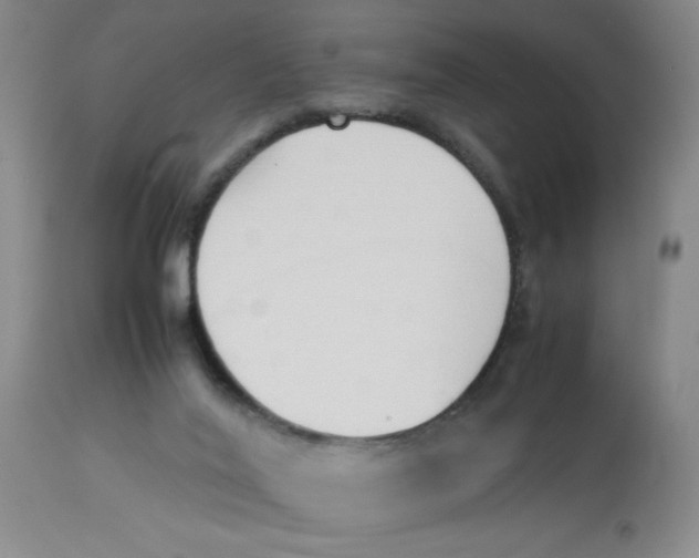 X0000112870020200909181835