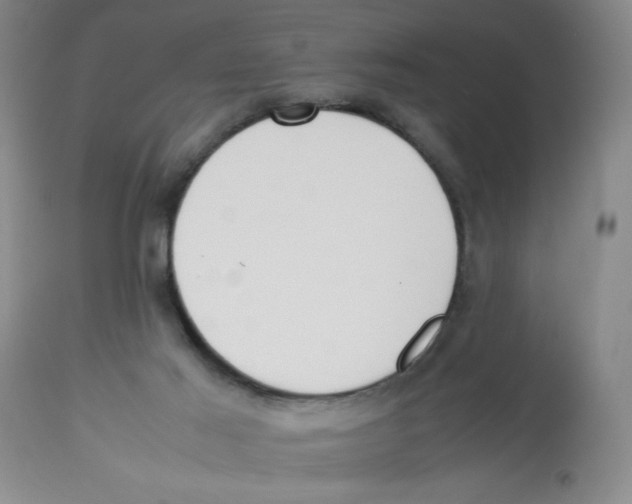 X0000112870021200909181835