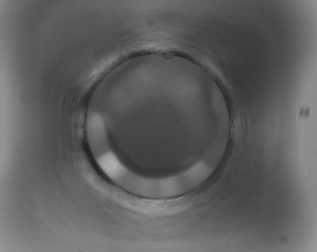 X0000112870023200909181835