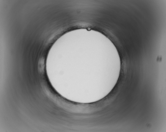 X0000112870024200909181835