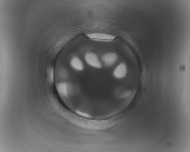 X0000112870027200909181835