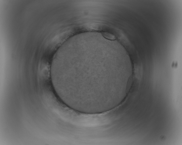 X0000112870029200909181835