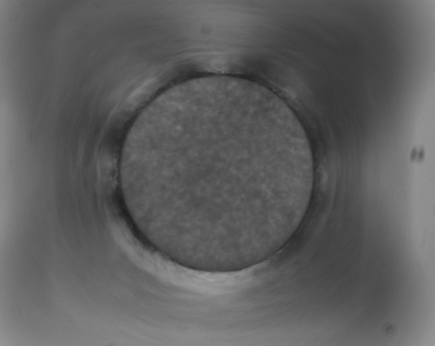 X0000112870031200909181835