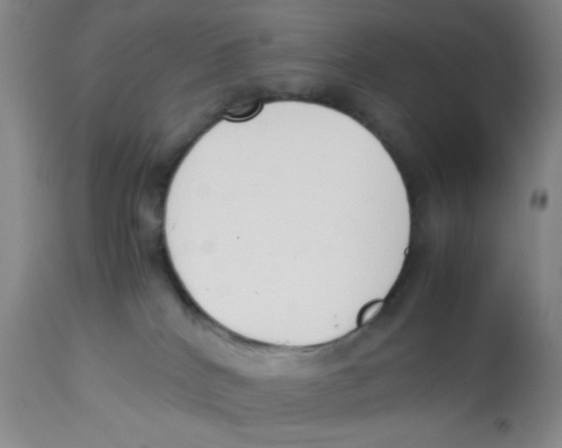 X0000112870040200909181835