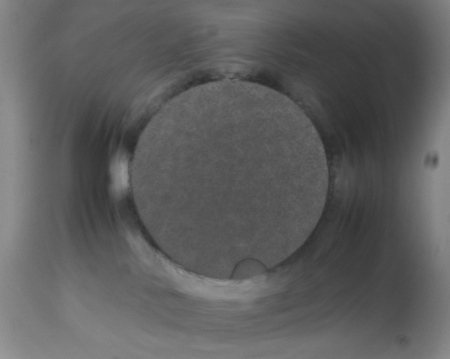 X0000112870042200909181835