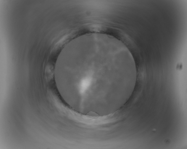 X0000112870043200909181835