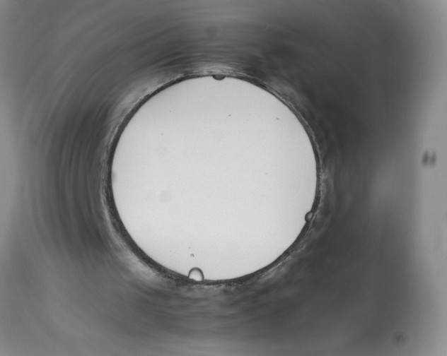 X0000112870049200909181834