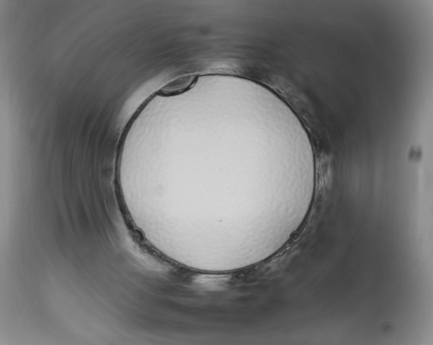 X0000112870051200909181834