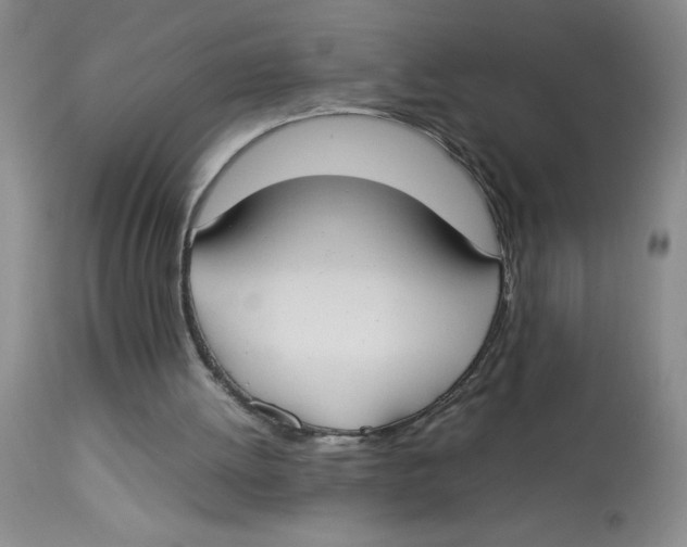 X0000112870052200909181834