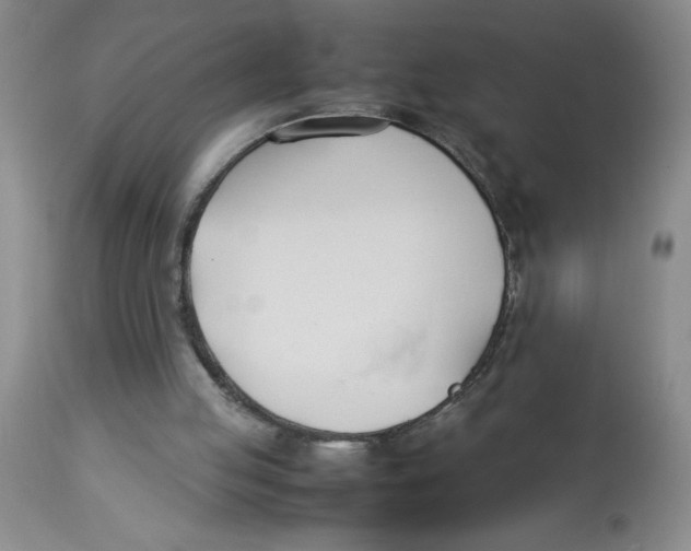 X0000112870053200909181834