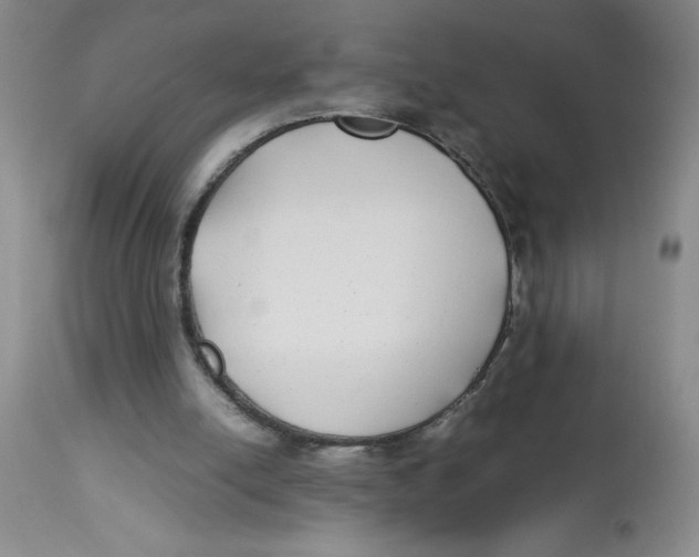 X0000112870054200909181834