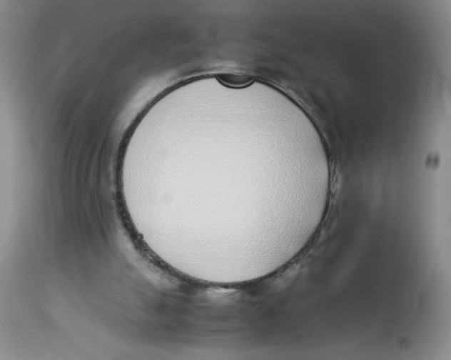 X0000112870055200909181834