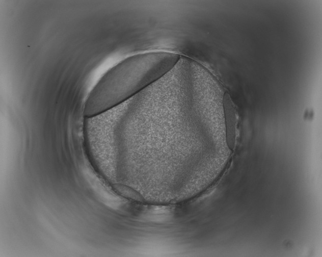 X0000112870056200909181834