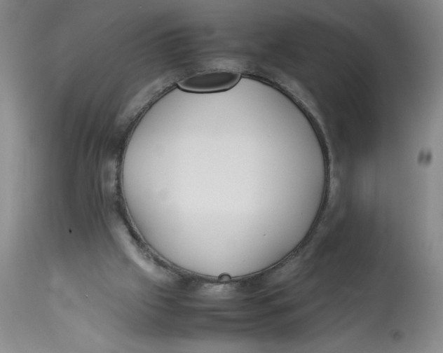 X0000112870057200909181834