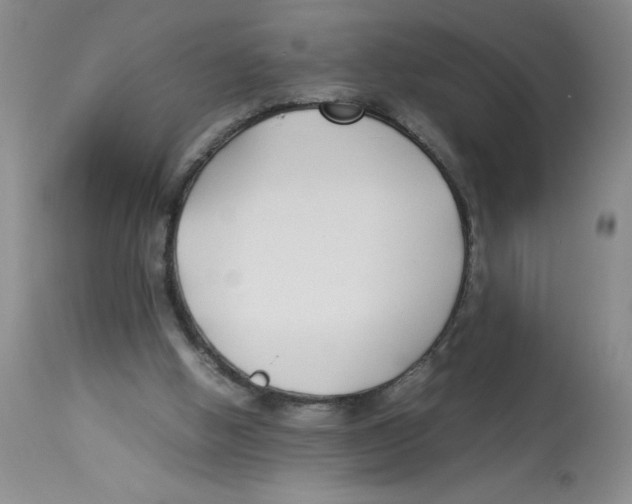 X0000112870058200909181834