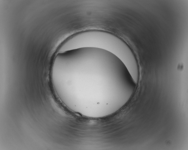 X0000112870060200909181834