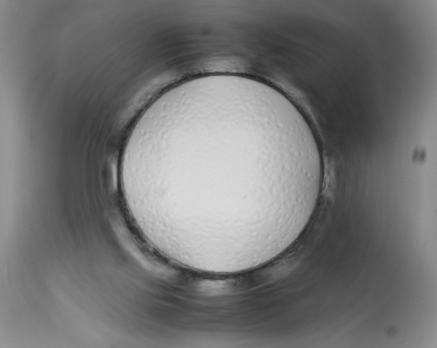 X0000112870061200909181834