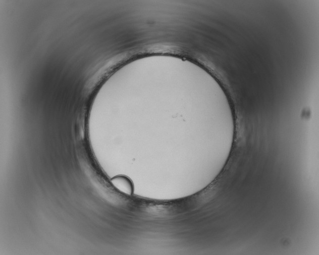 X0000112870062200909181834