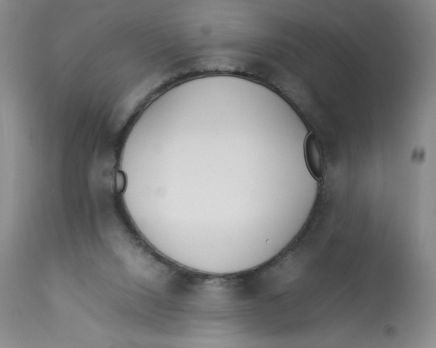 X0000112870064200909181834