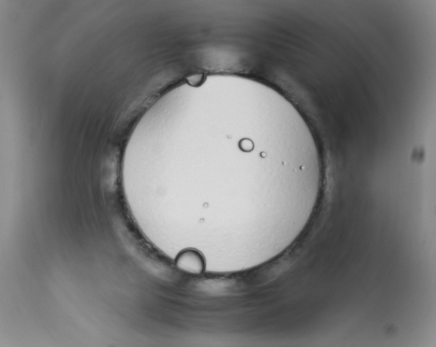 X0000112870065200909181834