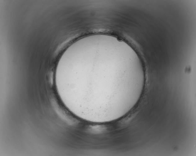 X0000112870067200909181834