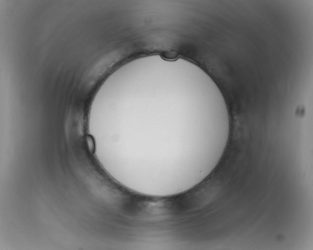 X0000112870068200909181834