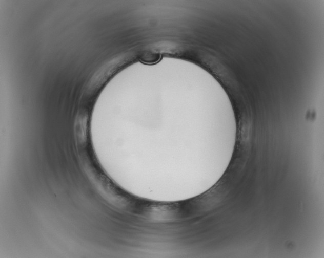 X0000112870070200909181834