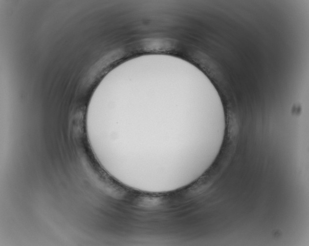 X0000112870071200909181834