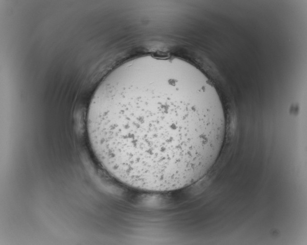 X0000112870074200909181834