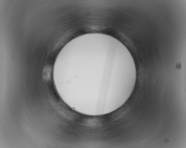 X0000112870075200909181834