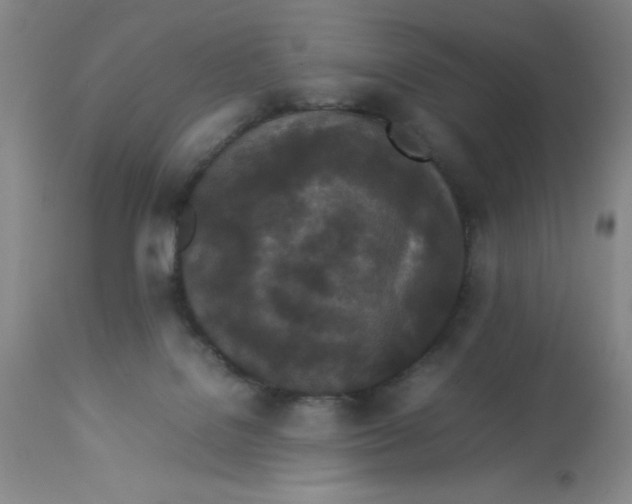 X0000112870076200909181834