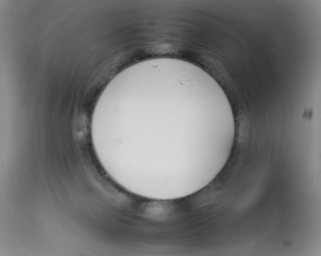 X0000112870077200909181834