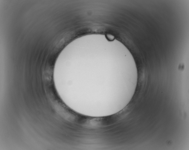 X0000112870078200909181834