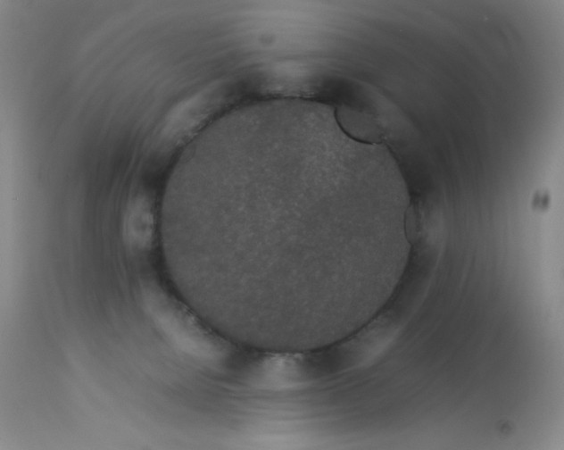 X0000112870080200909181834